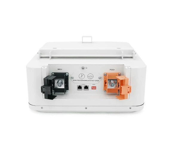 Акумулятор FelicityESS FLA24100-EU 24v 100Ah, BMS 100/150A@8S, 2.56kW, до 15 parallel, CAN&RS485, IP21, 6000Cycles, 454*380*154sm, 27KG