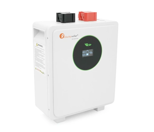 Акумулятор FelicityESS FLA24100WG2 24v 100Ah, BMS 100/150A@8S, 2.56kW, до 15 parallel, CAN&RS485, IP21, 6000Cycles, 454*380*154sm, 27KG