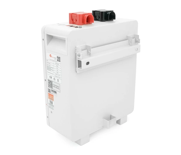 Акумулятор FelicityESS FLA24100WG2 24v 100Ah, BMS 100/150A@8S, 2.56kW, до 15 parallel, CAN&RS485, IP21, 6000Cycles, 454*380*154sm, 27KG